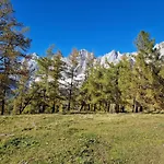 公寓 Romantikapartment Mit Sommercard Schladming Dachstein 拉姆绍达赫斯坦