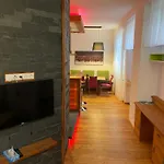 公寓 Romantikapartment Mit Sommercard Schladming Dachstein 拉姆绍达赫斯坦