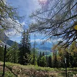 Romantikapartment Mit Sommercard Schladming Dachstein *