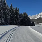 Romantikapartment Mit Sommercard Schladming Dachstein * 拉姆绍达赫斯坦