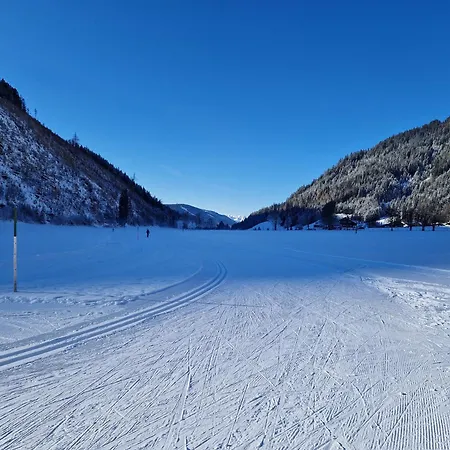 Romantikapartment Mit Wintercard 람자우 암 다흐스타인