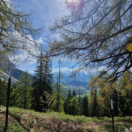 Romantikapartment Mit Wintercard *