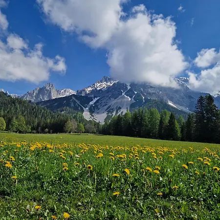 Romantikapartment Mit Wintercard 아파트