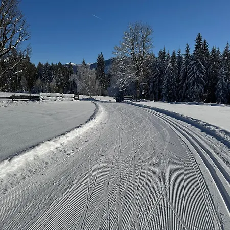 Romantikapartment Mit Sommercard Schladming Dachstein