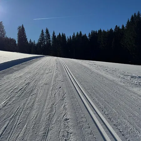 Romantikapartment Mit Sommercard Daire Ramsau am Dachstein