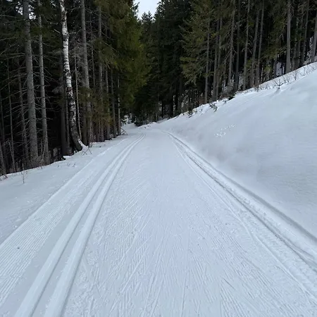 Romantikapartment Mit Sommercard Schladming Dachstein
