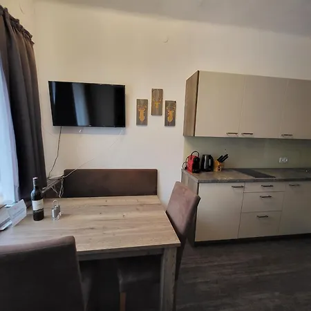 Romantikapartment Mit Wintercard 아파트 *
