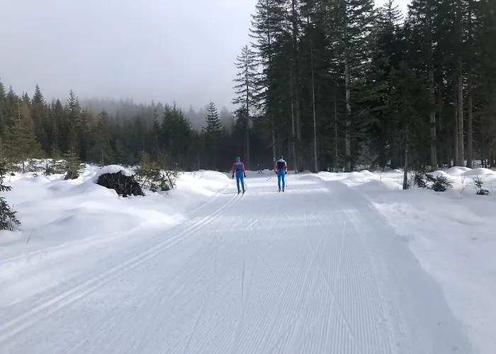 Апартаменты Romantikapartment Mit Sommercard Schladming Dachstein *