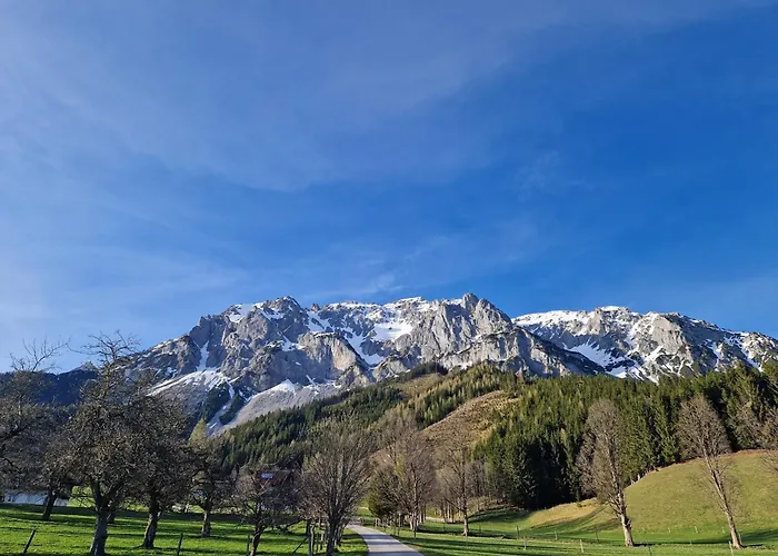 아파트 Romantikapartment Mit Sommercard Schladming Dachstein *