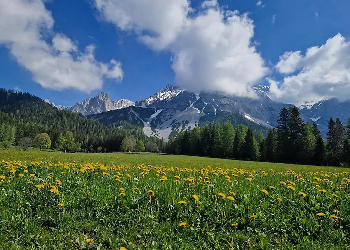 Romantikapartment Mit Sommercard Schladming Dachstein 아파트