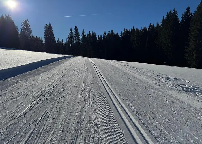 Romantikapartment Mit Sommercard Schladming Dachstein Апартаменты Рамзау