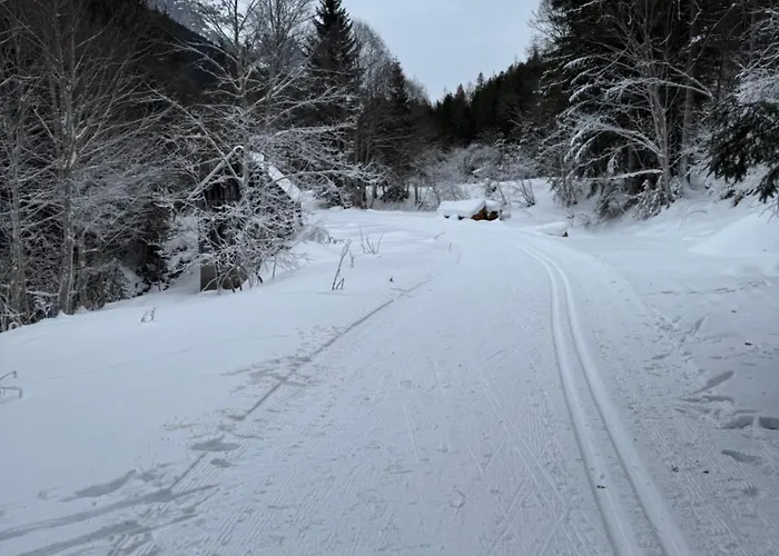 Romantikapartment Mit Sommercard Schladming Dachstein Apartment Ramsau am Dachstein