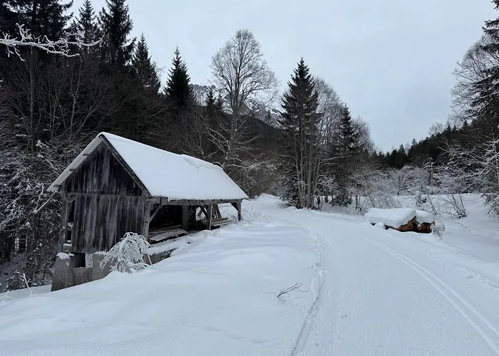 Romantikapartment Mit Sommercard Schladming Dachstein Апартаменты