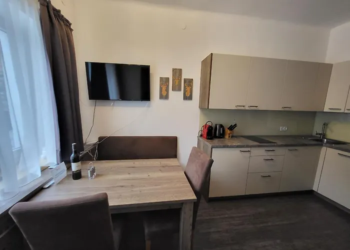 Romantikapartment Mit Sommercard Schladming Dachstein 아파트 *